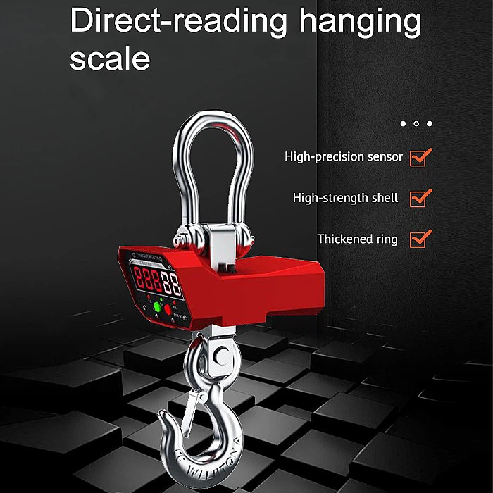 Digital Direct Reading Crane Scale