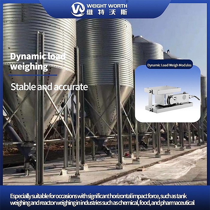 Dynamic Load Weigh Modules