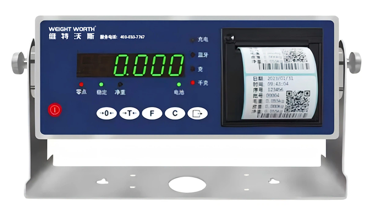 Weighing display instrument with printing function Weighing display instrument with printing function